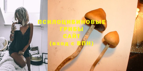 ALPHA PVP Белокуриха