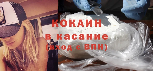 сатива Аркадак