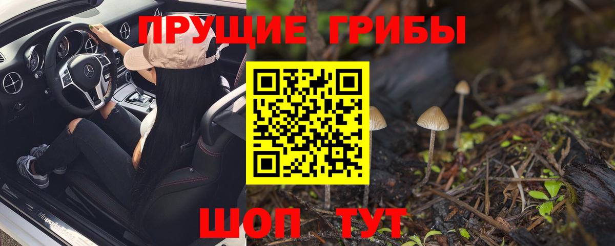 Псилоцибиновые грибы MAGIC MUSHROOMS  Псилоцибиновые грибы GOLDEN TEACHER  Мурманск  Вход с VPN 