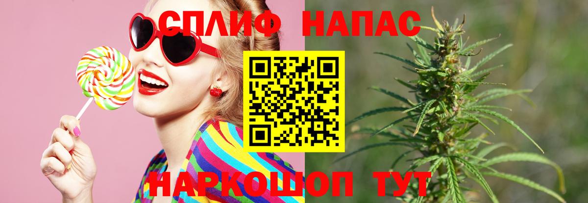Канабис конопля  Марихуана план  Мурманск  Вход с VPN  Марихуана Ganja  Бошки Шишки марихуана 